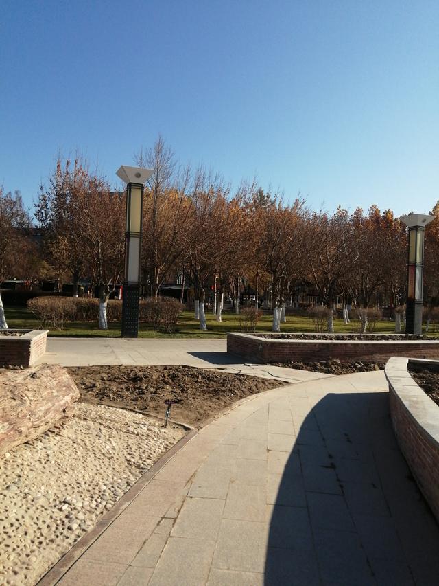 汉滨公园的冬日独白