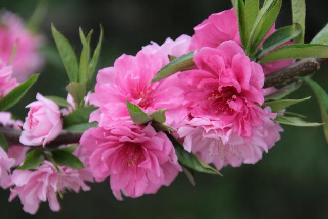 头条爆文《夫妻最好的相处：不是搭伙过日子，而是并肩闯人间》