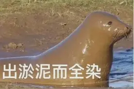 男孩半年内多次染发导致肾脏危机！损伤不可逆转，这些人谨慎染发图片