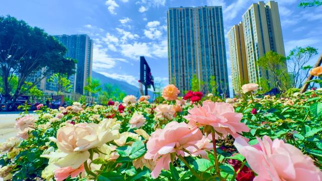 城市有机更新丨米易福园公园开园了!