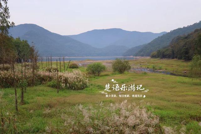 宁波这个新“阿泰勒”火了，游客络绎不绝，每人看了都会惊叹一声