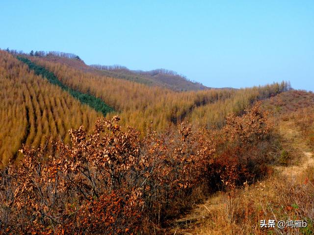 明长城本溪段全程探寻