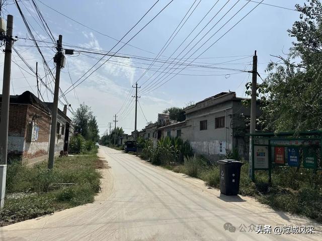 冠县乡韵·定远寨镇前杏园村