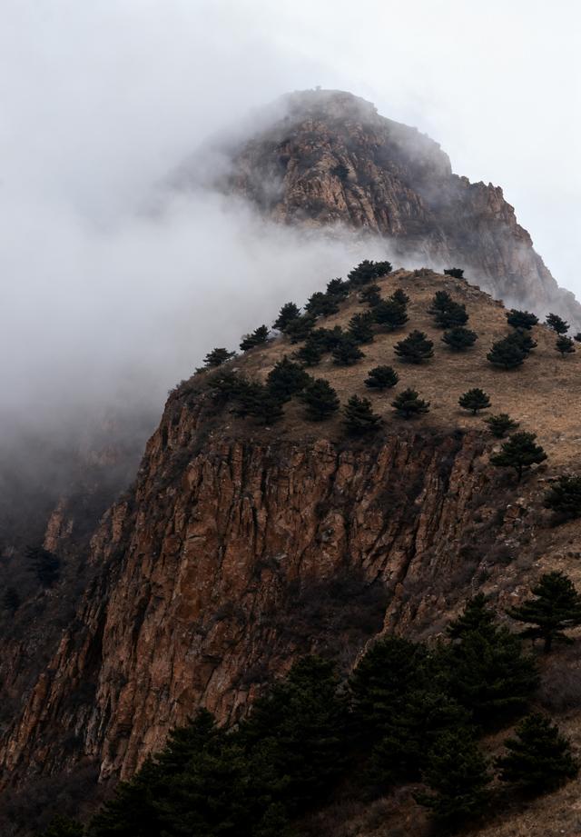 雾锁摩天岭：山与云的共生诗