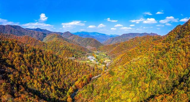 秋冬景观大道，10月下旬-11月，适合自驾赏秋的6条线路
