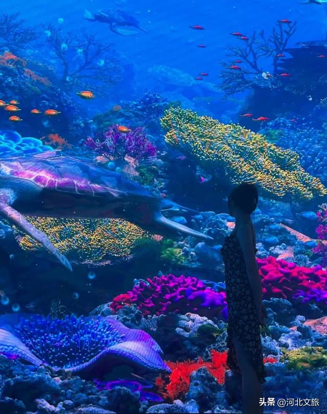 漫游唐山 | 曹妃甸城市馆打卡攻略