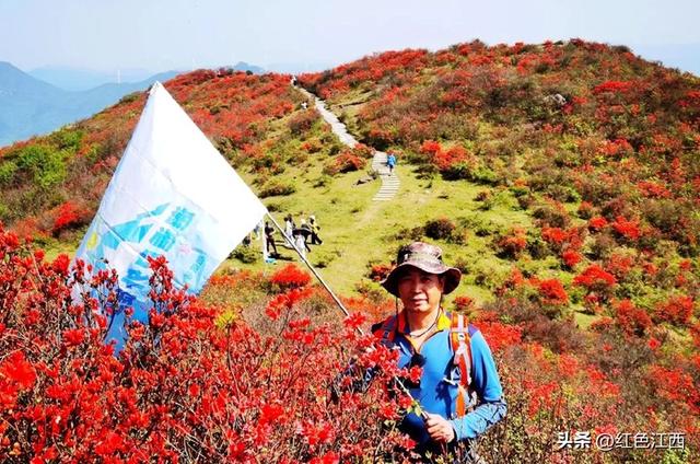 云上八卦脑 鹃红醉石城