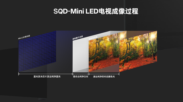 突破全局高色域门槛，TCL SQD-Mini LED远远甩开对手，终结画质之争