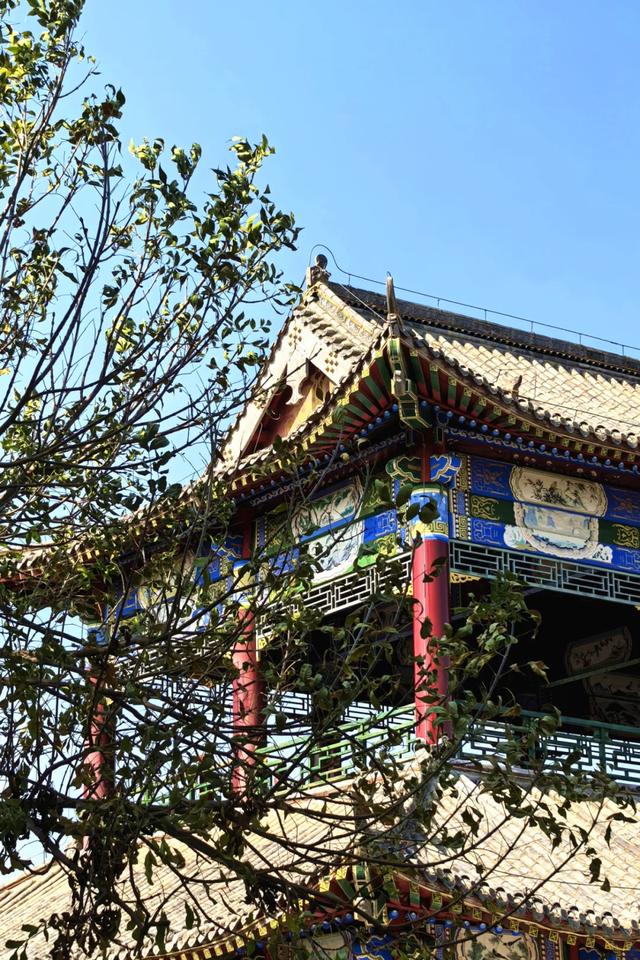 北疆文化 遇鉴赛罕 | 秋色漫卷赛罕:快将秋日打包,赶赴一场赛罕秋约!