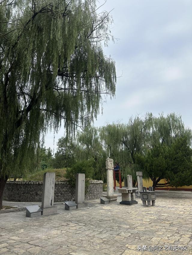 我是上海人，刚从江苏丰县回来，实在忍不住想说：对丰县5点印象