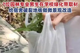 学以致用！园林专业 7男生给宿舍破裂地板做微景观改造：材料取自学校绿化带图片