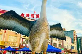 白沙街道：四个“赋能”，建强鹅产业链图片