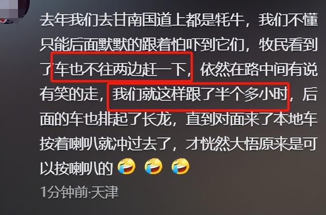 摩旅青海被牧民打头后续！7峰骆驼丢失，当地人发声 骑手有错在先
