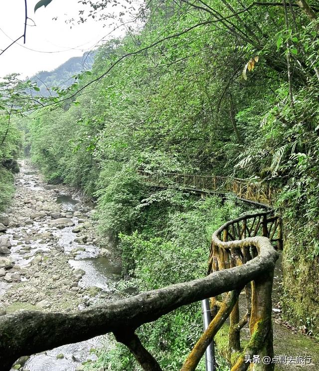 成都周边清凉胜地，三伏天穿长袖，吊桥、瀑布、栈道，不要门票！