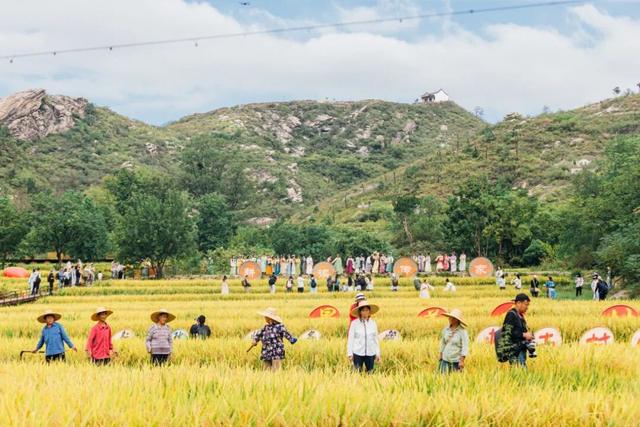 剧组扎堆！黄陂这座600岁古村，晒秋现场秒变短剧片场