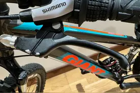 闲鱼捡大漏——买捷安特上瘾了，再给女儿买一辆图片