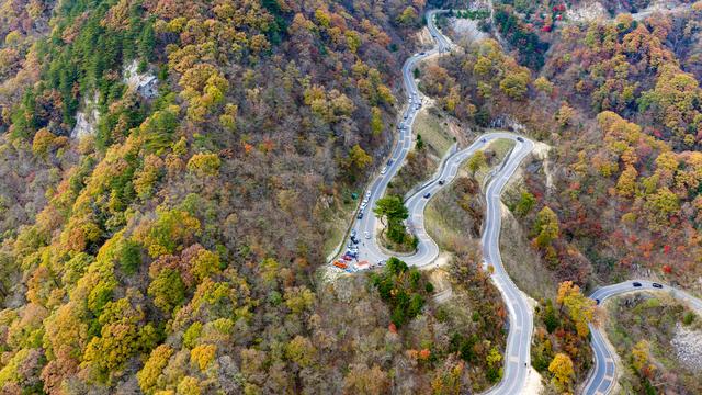 山道弯弯秋色浓