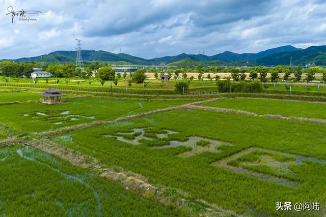 杭州有个钱江经济开发区地处余杭，还在曾经的獐山石矿场建起公园