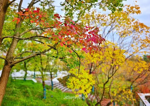 99%的新区人都在做的事，你做了没?