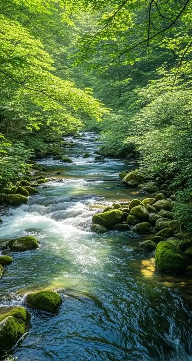 #山水美景 #自然风光 #美丽风景
