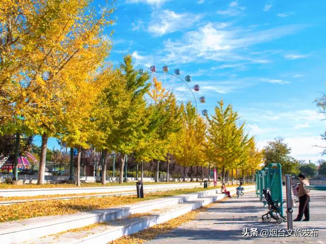 【乐游烟台】最新实拍！烟台鱼鸟河“顶级秋色”加载中