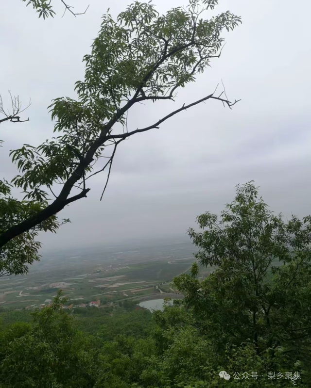 莱阳记忆：初夏登娘娘山