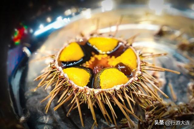 东北榜首！清凉大连实力出圈