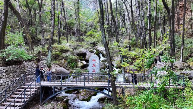 国庆假期第三天 车河社区与桃花山风景区人气持续攀升