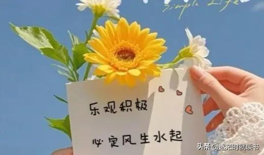 如果你真爱你的孩子，请在他步入社会前，教会他与世界相处的能力