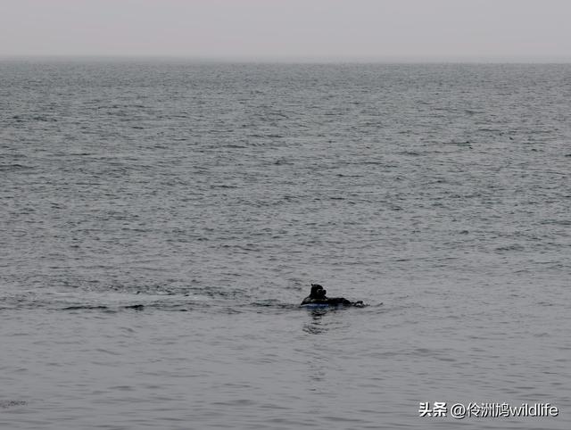 大连海之韵公园·棒槌岛