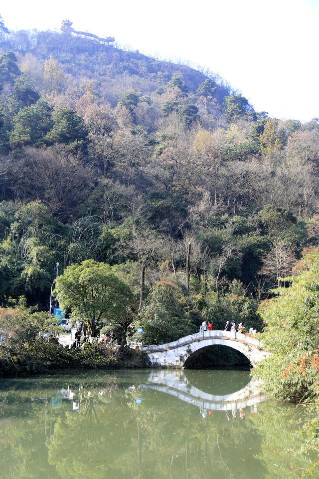 黔灵山的猴子真的会拧开瓶盖喝水