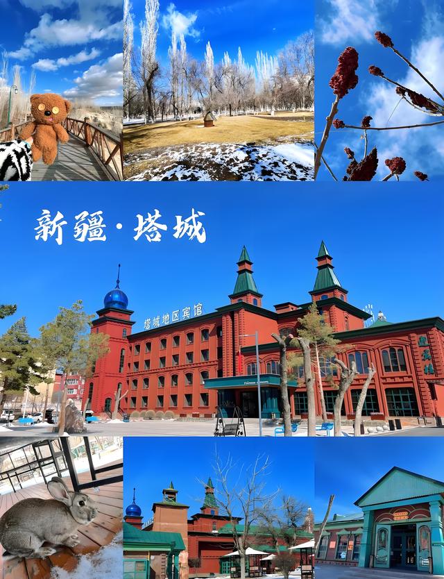 踏迹寻音：一架琴托起一座城市的新疆文化小城市·塔城