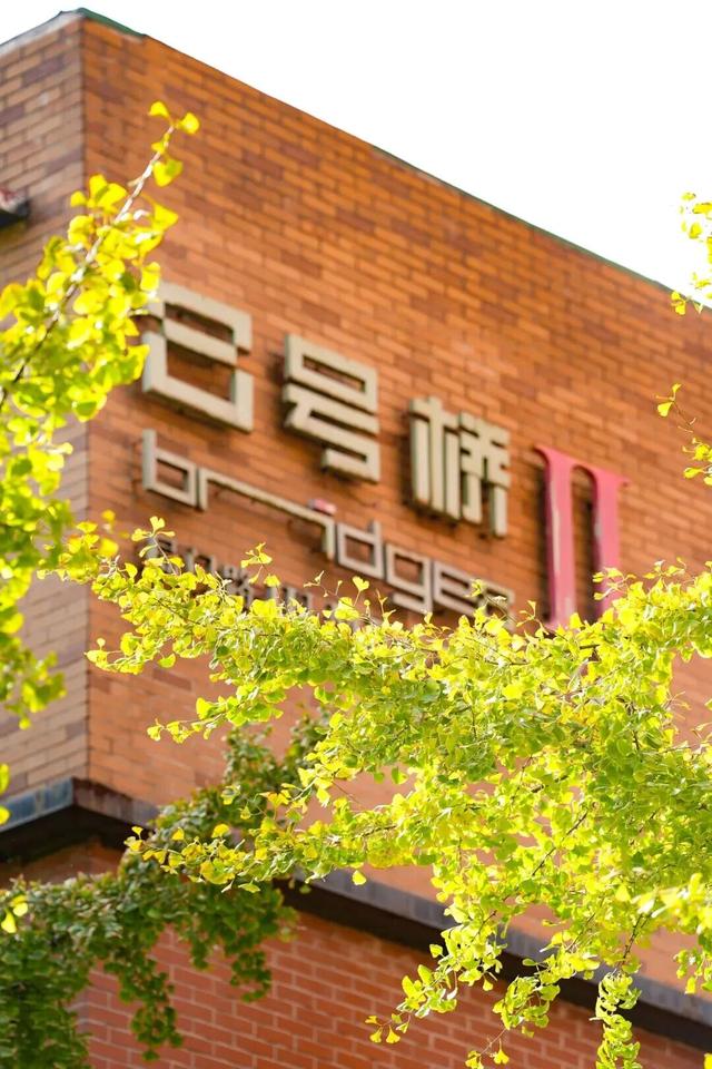 出片率100%！上海人都在找这个“限定露台”！这条“银杏大道”好拍又好吃！