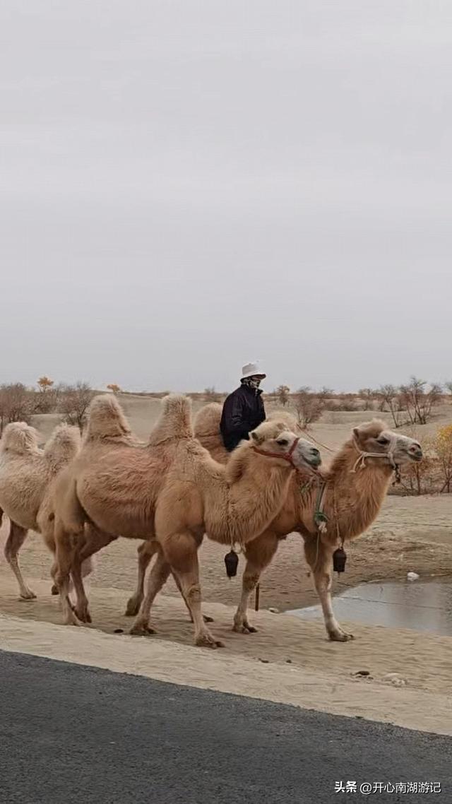 喀什经317到成都，和田-于田-民丰，先绕行和田翡翠湖