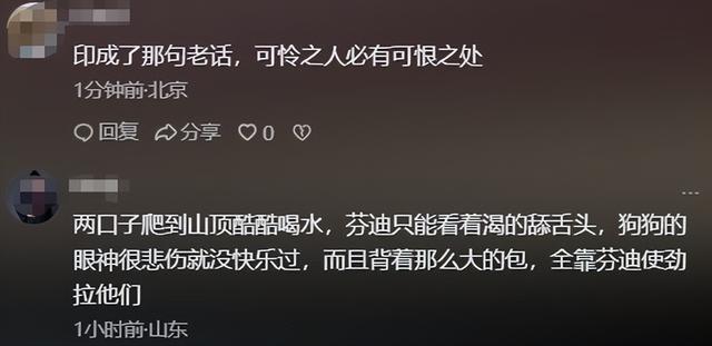 带导盲犬爬泰山后续！账号被扒，带狗到处旅游，基地回应大快人心