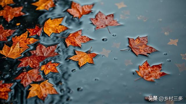 今日寒露，老人说最怕“寒露一日雨”，寒露下雨有啥预兆？