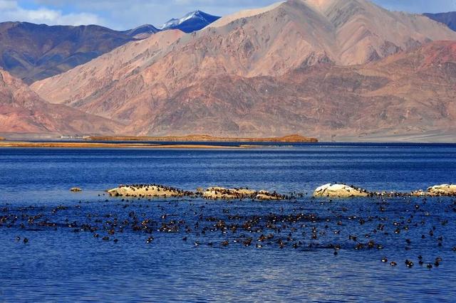 穿越阿里，才算真正到过西藏！万山之祖与百川之源在此相遇。