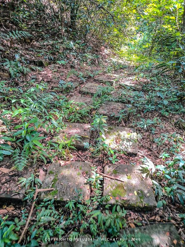 丰良九龙瀑布攻略