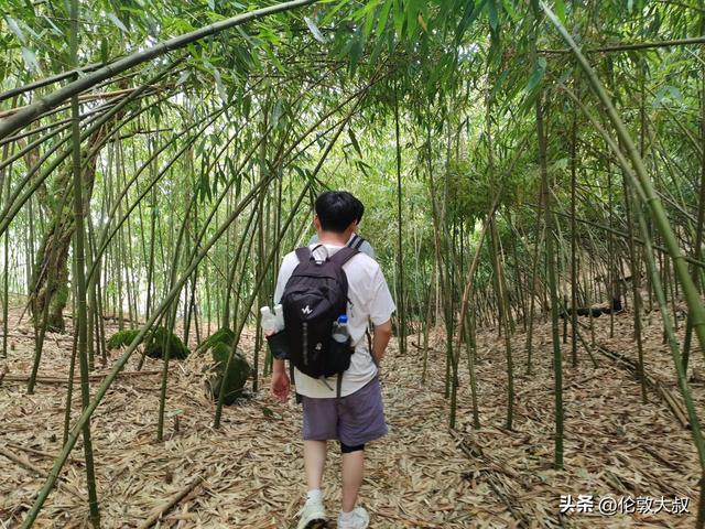 重庆南川区和武隆比区起来在旅游发展潜力上谁更胜一筹