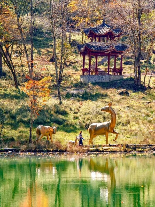 喇叭河五彩斑斓的秋天，就这样闯闯闯入视野！