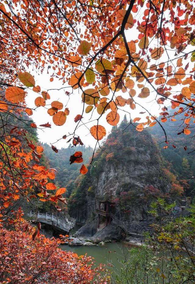 这才是秋天该有的样子~