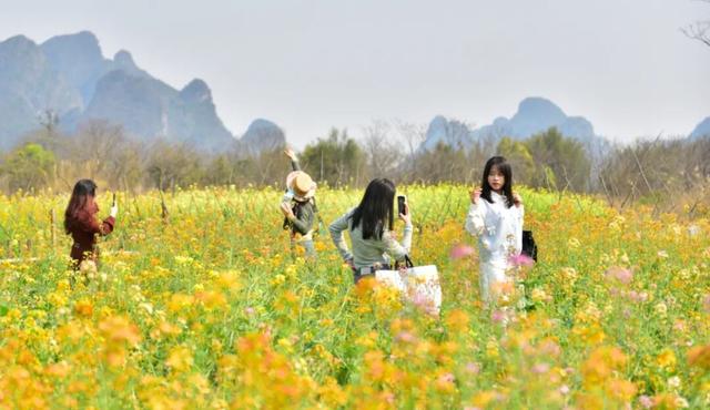 微视点 | 阳朔：“三化”赋能山水秀 生态变现百姓富