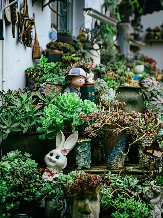 周末隐逸计划丨探秘南岸清幽街镇，独享山水间的诗意慢生活