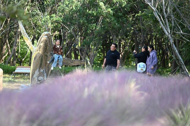 青岛团岛山公园：老城的时光秘境与自然栖居