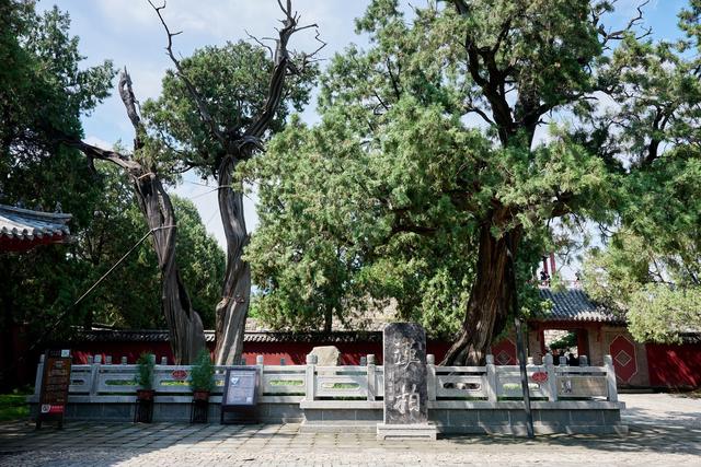 山东泰安岱庙，华夏名山第一庙，历史悠久，又被誉为“神的府邸”