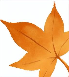 正式启幕！呼和浩特过大年，有很多热闹可以凑！附最全攻略