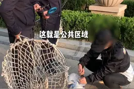 【城管严查遛狗不栓绳发现就暂扣：出了家门，就属于公共区域！】图片