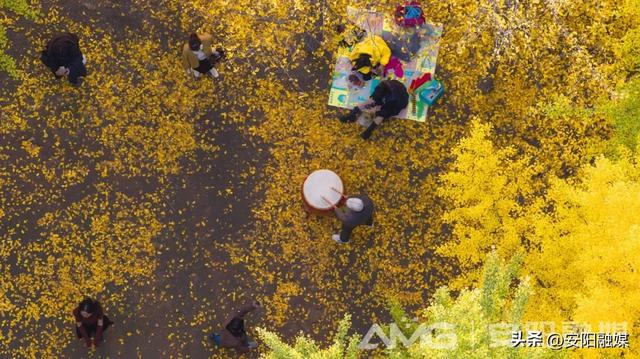 随手一拍都是大片!安阳深秋限定美景已上线→