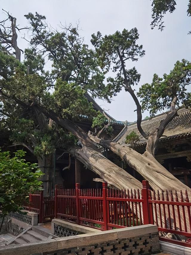 晋祠冷知识，带你了解不一样的“三晋之胜”