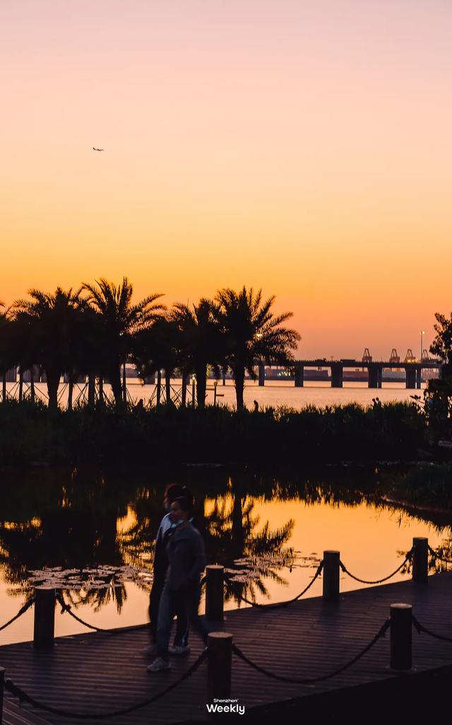 深圳的未来,为什么看前海?